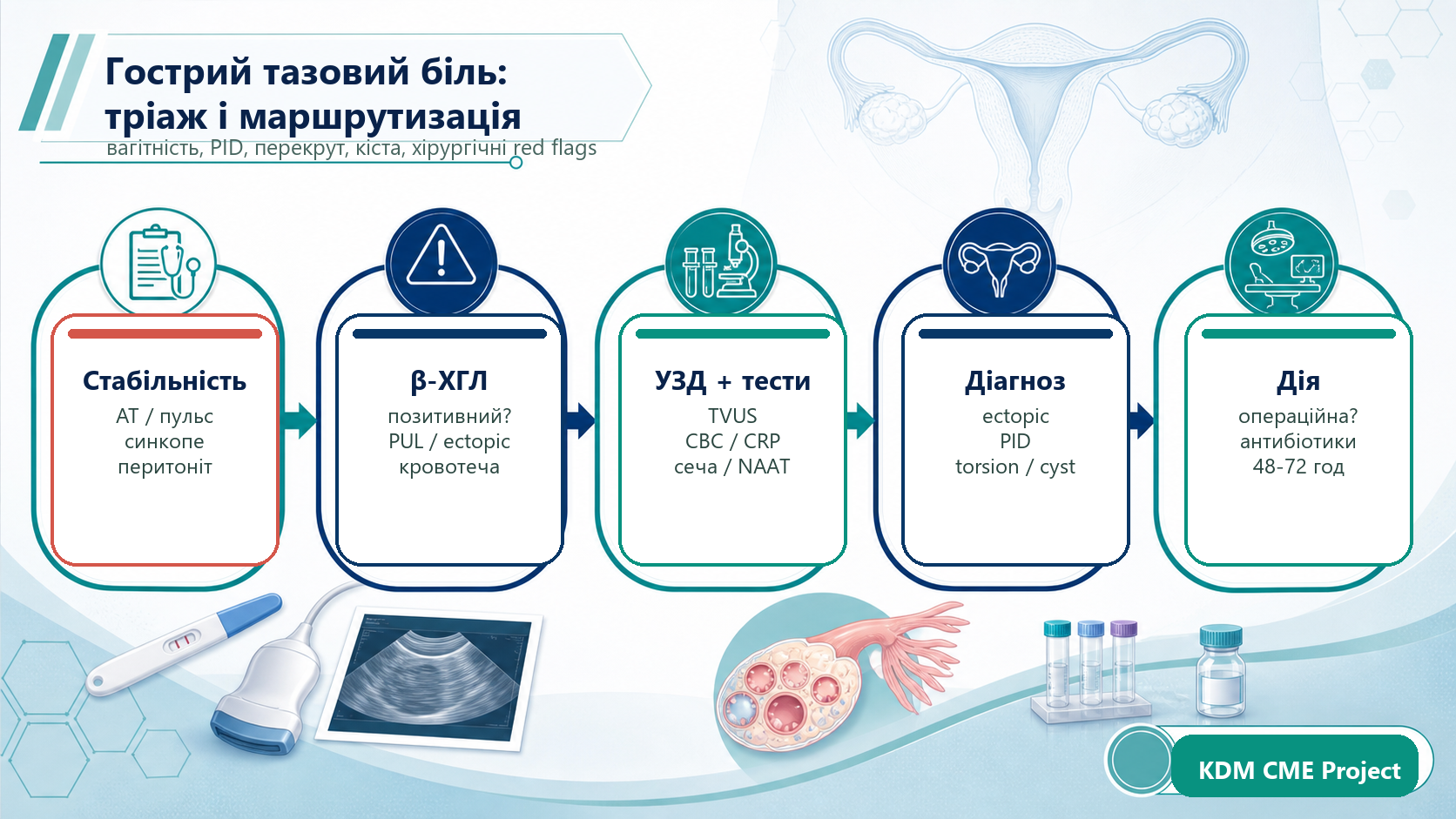 Acute pelvic pain clinical pathway infographic: stability, pregnancy test, ultrasound, diagnosis and emergency action.