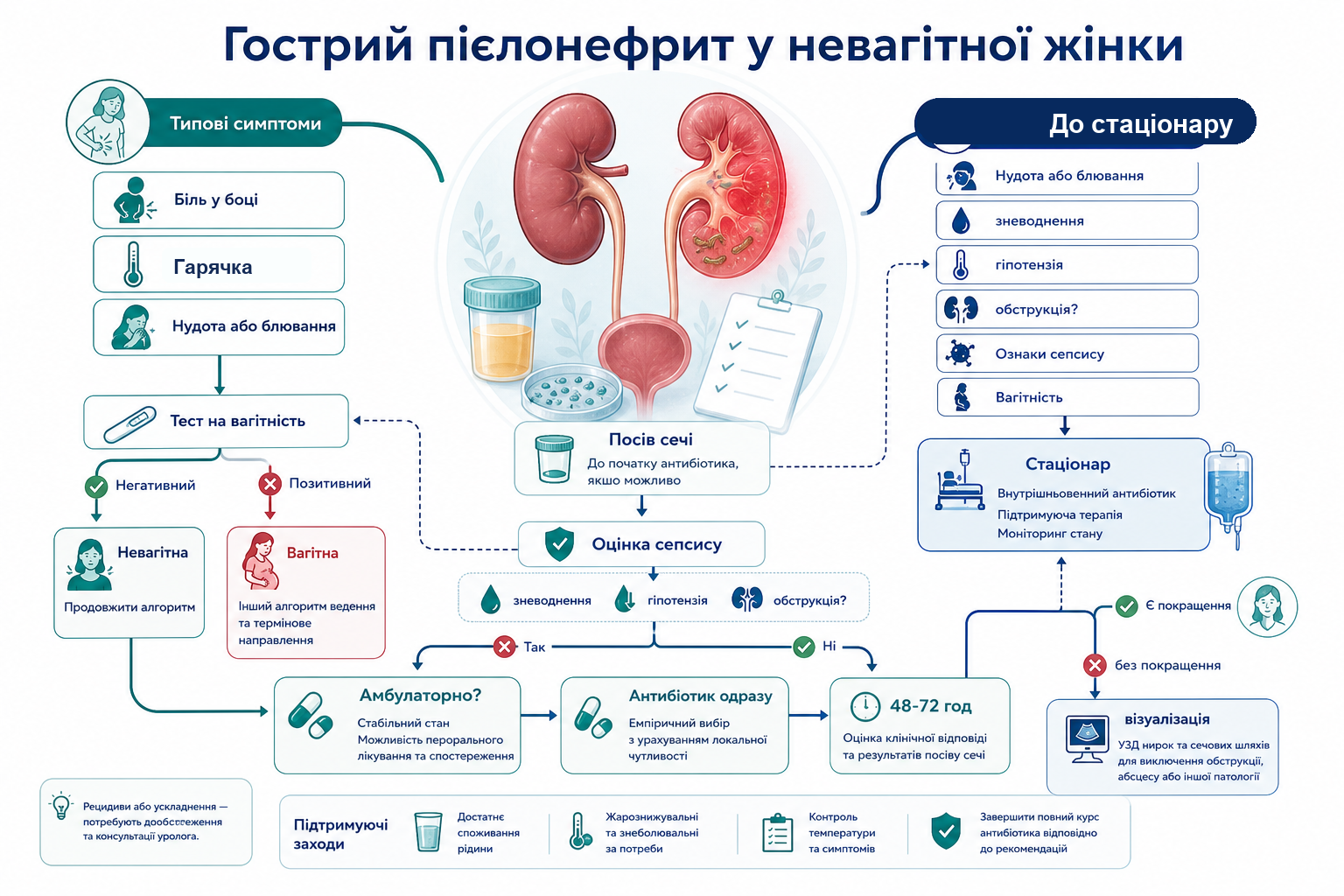 Інфографіка алгоритму гострого пієлонефриту у невагітної жінки: біль у боці, гарячка, нудота або блювання, тест на вагітність, посів сечі, оцінка сепсису, амбулаторний або стаціонарний маршрут, антибіотик одразу, контроль за 48-72 години та візуалізація при відсутності покращення.