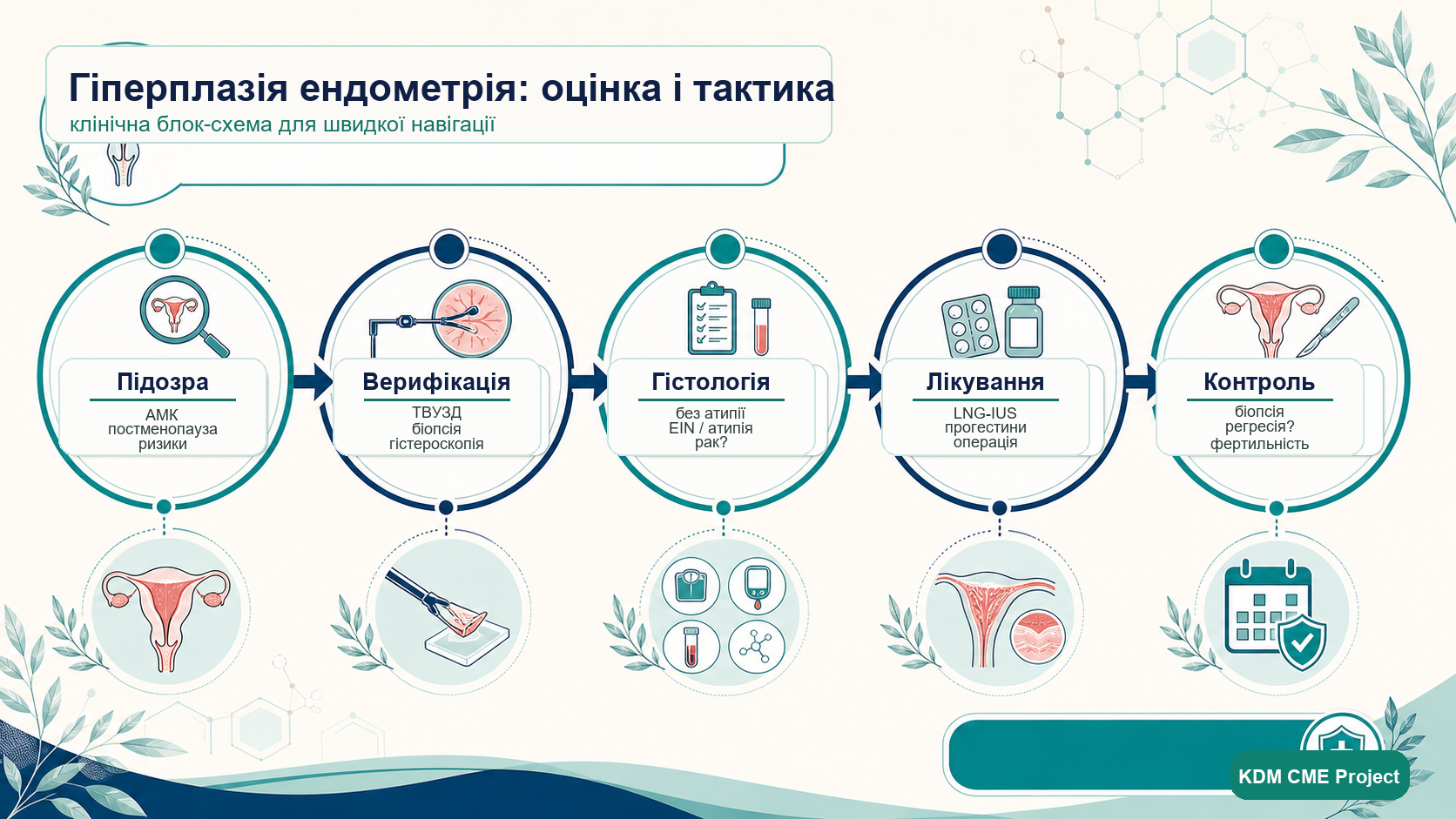 Endometrial hyperplasia clinical pathway infographic: suspicion, verification, histology, treatment and follow-up.