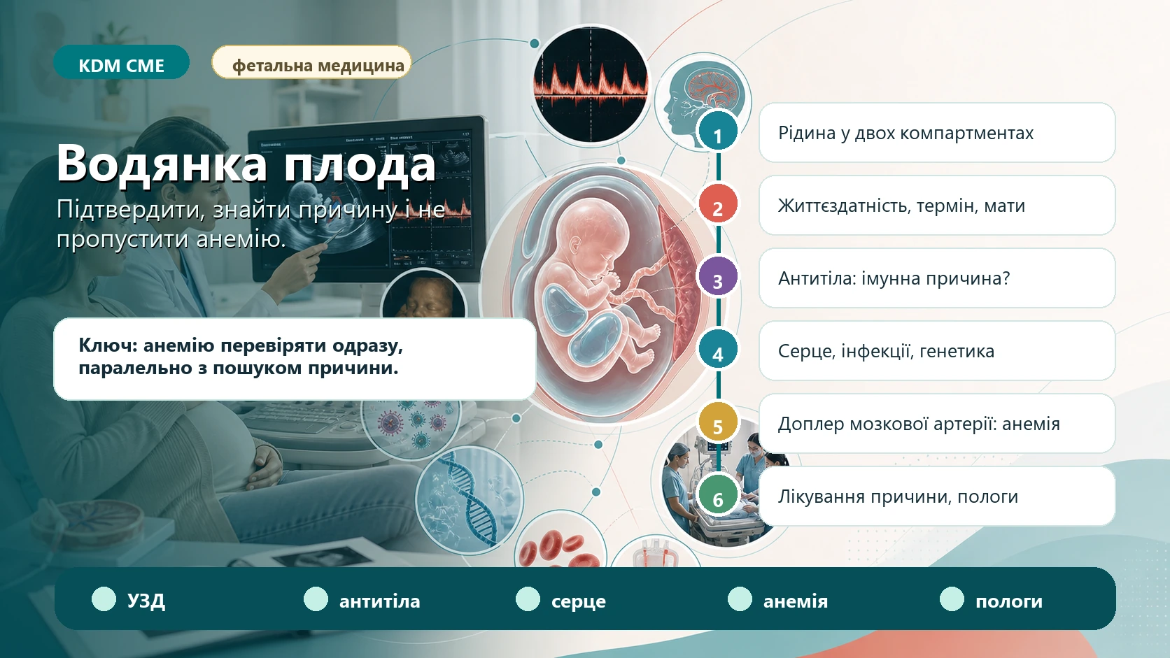 Інфографіка алгоритму водянки плода: рідина у двох або більше компартментах, асцит, плевральний чи перикардіальний випіт, набряк шкіри, плацентомегалія, підтвердження життєздатності і терміну, імунна причина, інфекції, серце, генетика, доплер середньої мозкової артерії, анемія плода, внутрішньоутробне лікування, план пологів і неонатальна команда.