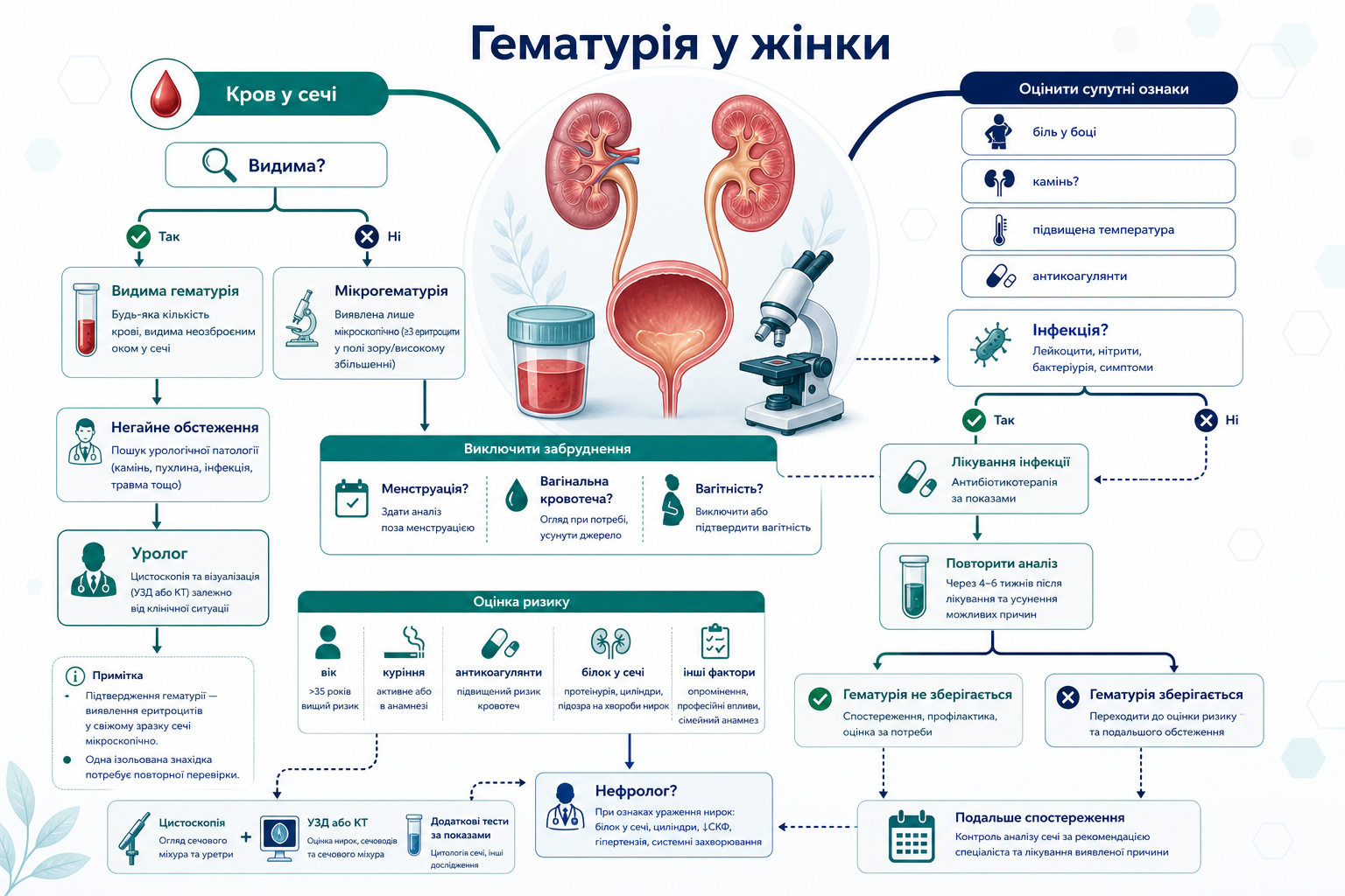 Інфографіка алгоритму гематурії у жінки: видима кров у сечі, мікрогематурія, менструація або вагінальна кровотеча, інфекція, повторний аналіз, уролог, цистоскопія, ультразвукове дослідження або комп’ютерна томографія та нефрологічні ознаки.
