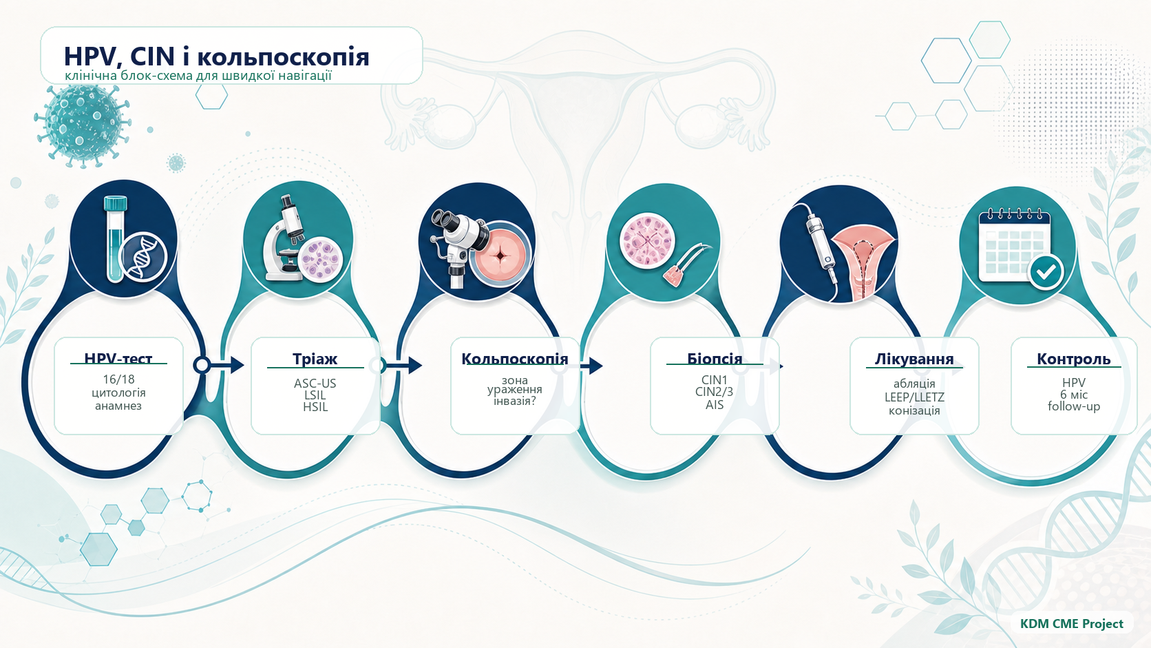 HPV, CIN and colposcopy clinical pathway infographic: HPV test, triage, colposcopy, biopsy, treatment and follow-up.
