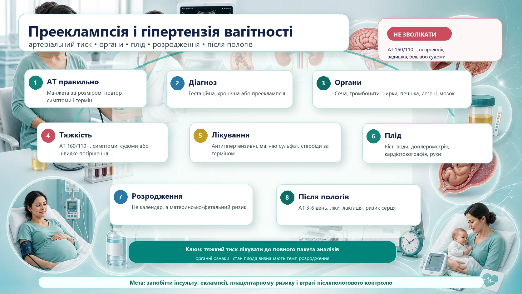 Інфографіка алгоритму прееклампсії та гіпертензивних розладів вагітності: правильне вимірювання артеріального тиску, протеїнурія, органні ознаки, тяжкий перебіг, фетальний моніторинг, магнію сульфат, антигіпертензивне лікування, план розродження і післяпологовий контроль.