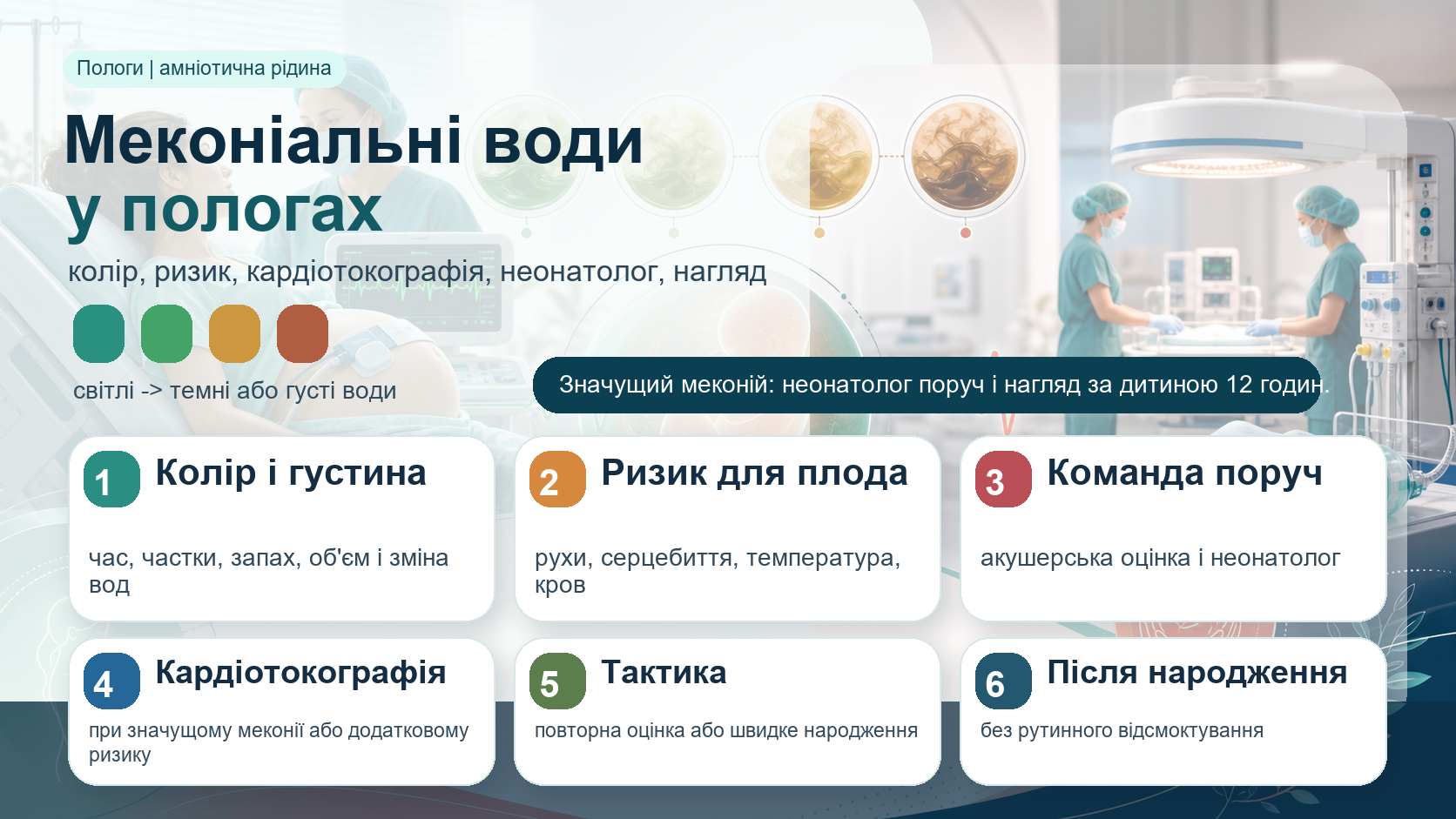 Інфографіка алгоритму меконіальних вод у пологах: колір і густина вод, оцінка ризику, кардіотокографія, акушерська допомога, неонатолог, відсутність рутинного відсмоктування і нагляд за новонародженим 12 годин.