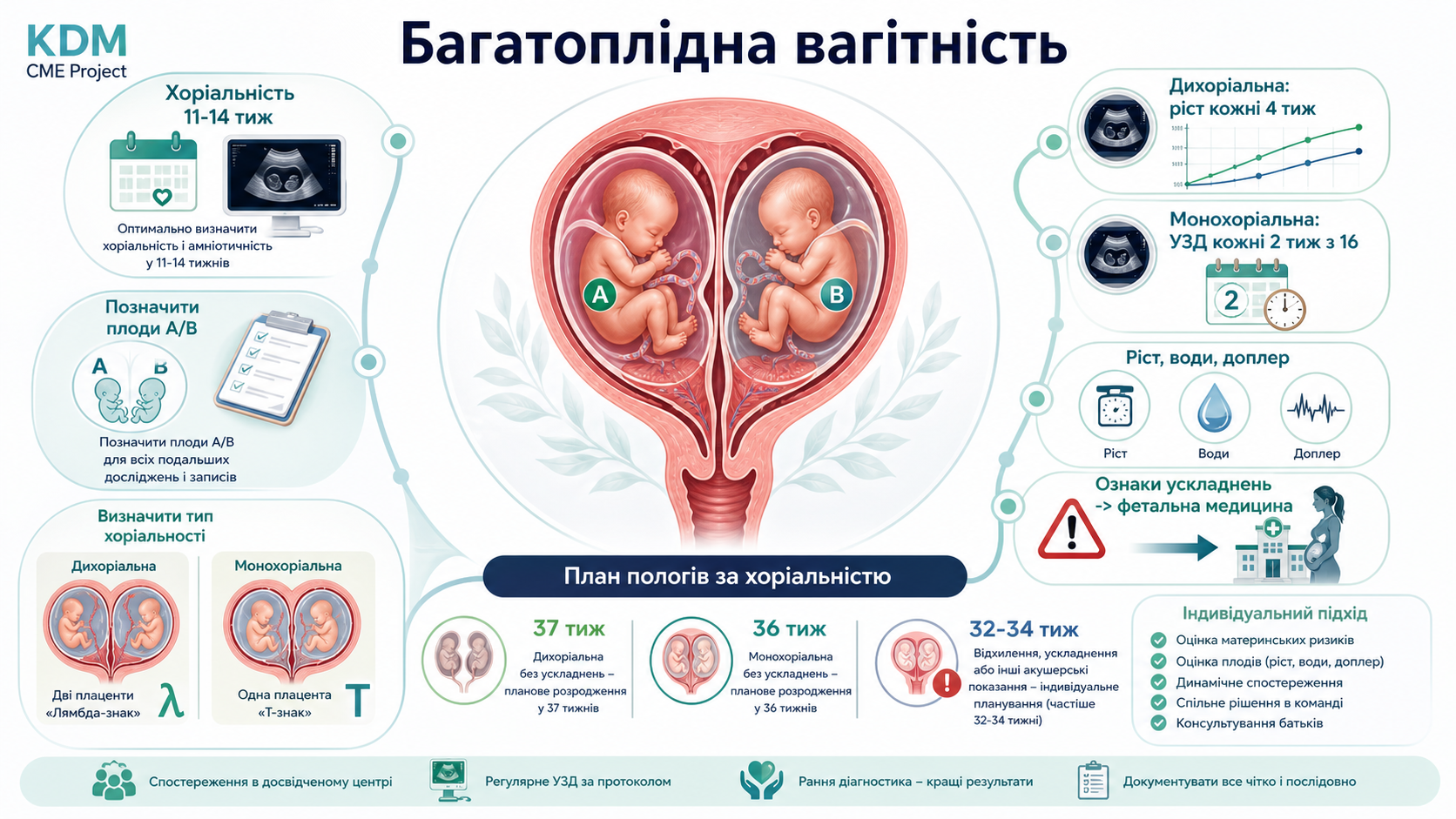 Інфографіка алгоритму багатоплідної вагітності: визначення хоріальності й амніальності у 11-14 тижнів, позначення плодів А і Б, графік ультразвукового нагляду для дихоріальної та монохоріальної двійні, оцінка росту і вод, скерування до фетальної медицини та план пологів за хоріальністю.