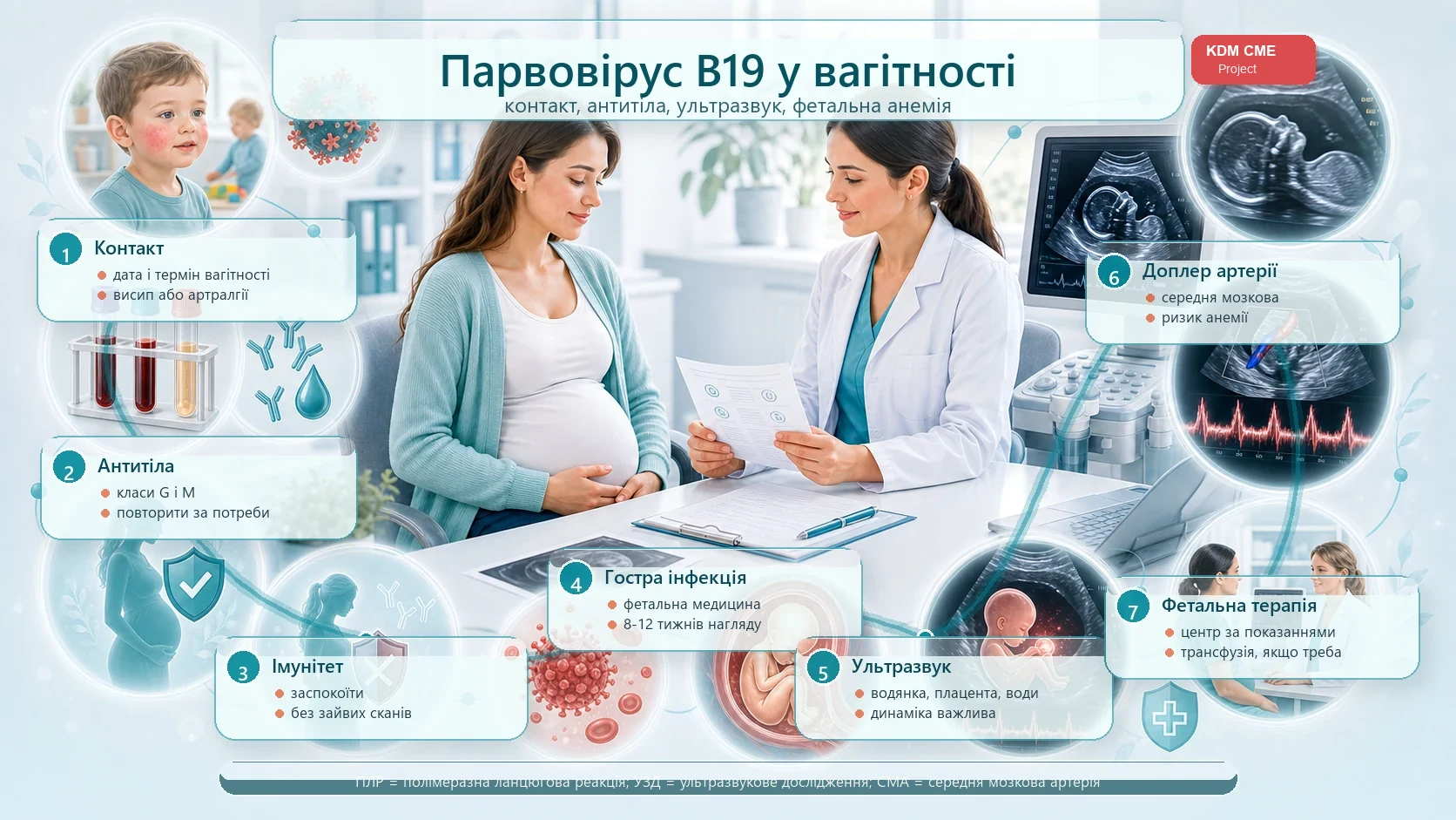 Інфографіка алгоритму парвовірусу B19 у вагітності: контакт або симптоми, антитіла класів G і M, імунна або неімунна вагітна, гостра інфекція, ультразвукове дослідження, доплер середньої мозкової артерії, анемія плода і фетальна терапія.