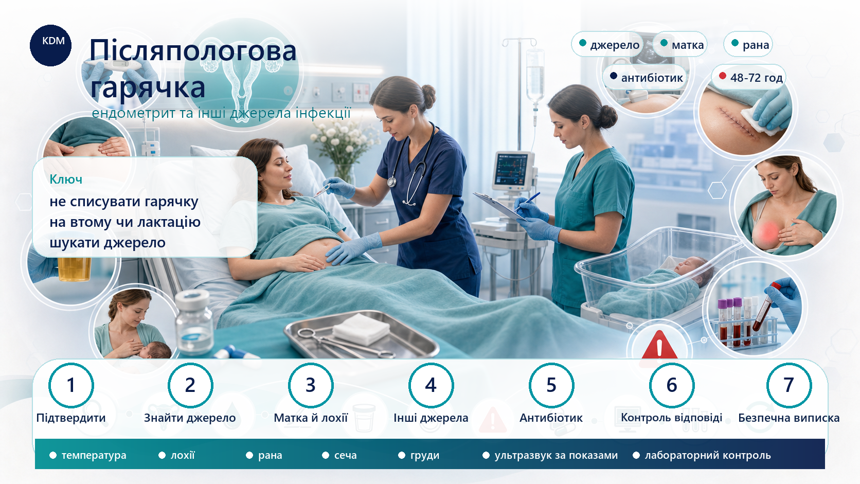 Медична інфографіка алгоритму післяпологової гарячки та ендометриту: післяпологова пацієнтка в стаціонарі, оцінка температури, матки й лохій, рани, сечових шляхів, грудей, симптомів небезпеки, початок антибіотика, ультразвук за показаннями, лабораторний контроль і переоцінка через 48-72 години.