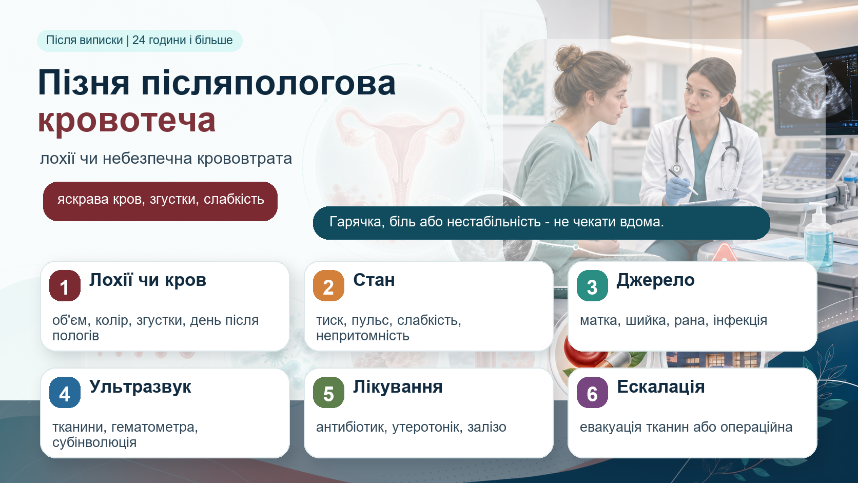 Інфографіка алгоритму пізньої післяпологової кровотечі: після виписки або після перших 24 годин, відмінність нормальних лохій від небезпечної крововтрати, яскрава кров, згустки, слабкість, артеріальний тиск і пульс, огляд матки, шийки, рани та ознак інфекції, ультразвукове дослідження матки, антибіотик, утеротонік, залізо, евакуація тканин або операційна ескалація.