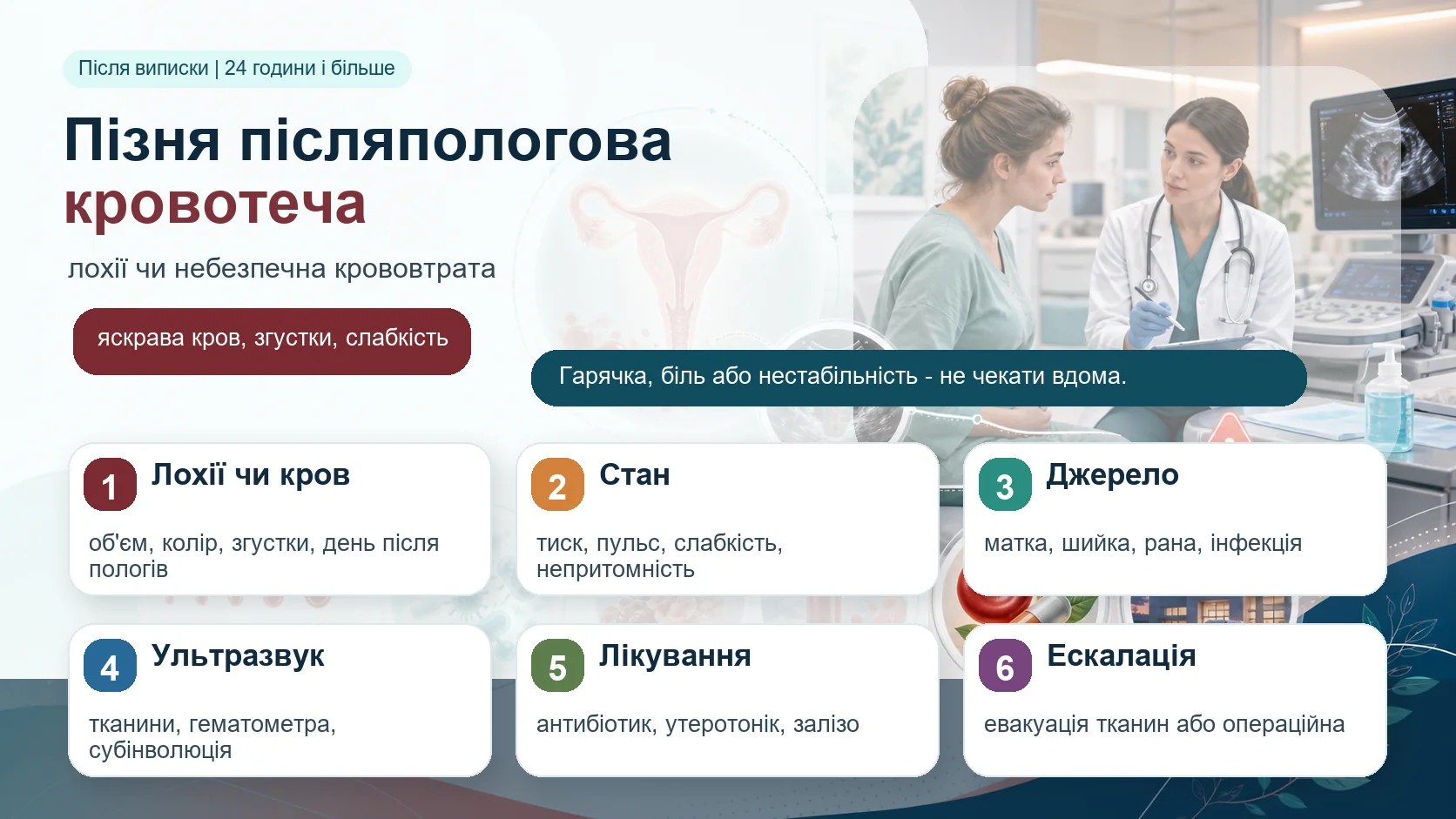 Інфографіка алгоритму пізньої післяпологової кровотечі: після виписки або після перших 24 годин, відмінність нормальних лохій від небезпечної крововтрати, яскрава кров, згустки, слабкість, артеріальний тиск і пульс, огляд матки, шийки, рани та ознак інфекції, ультразвукове дослідження матки, антибіотик, утеротонік, залізо, евакуація тканин або операційна ескалація.