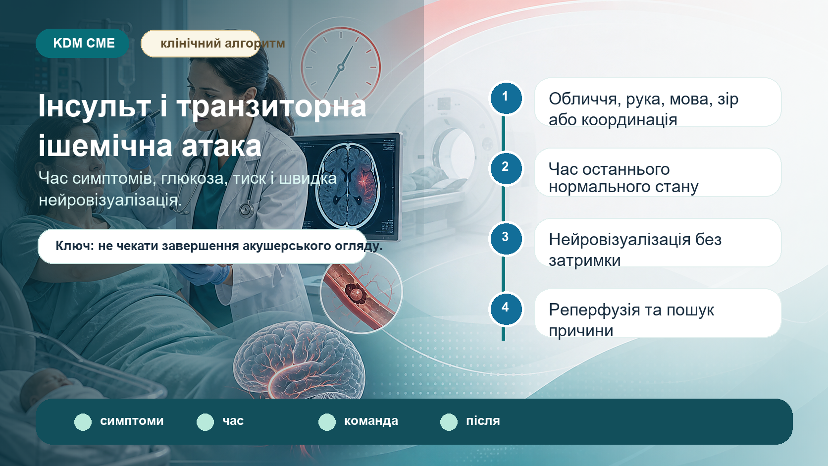 Інфографіка алгоритму інсульту і транзиторної ішемічної атаки у вагітності та після пологів: асиметрія обличчя, слабкість руки або ноги, порушення мовлення, зору чи координації, раптовий сильний головний біль, час останнього нормального стану, глюкоза, артеріальний тиск, сатурація, інсультна команда, комп’ютерна томографія, магнітно-резонансна томографія, тромболізис, механічна тромбектомія, прееклампсія, тромбоз вен мозку, лактація і контроль.