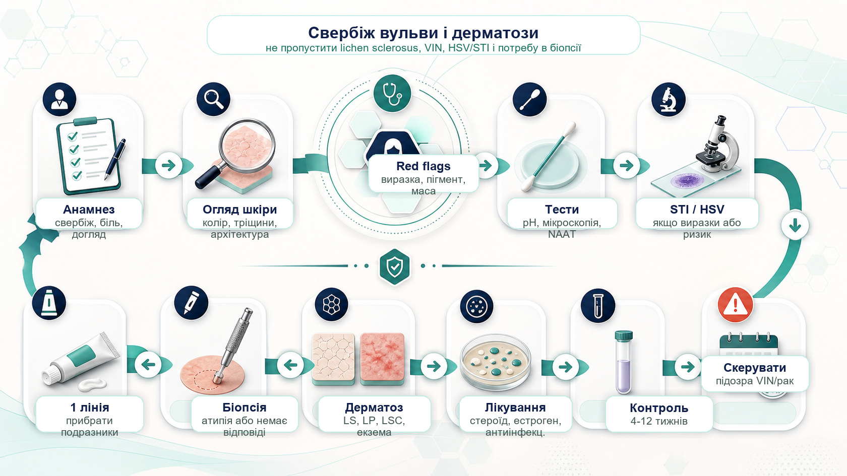 Vulvar pruritus and vulvar dermatoses clinical pathway infographic: history, irritants, skin examination, red flags, pH and microscopy, STI and HSV testing, lichen sclerosus, lichen planus, lichen simplex chronicus, biopsy, topical steroid therapy, GSM, VIN referral and follow-up.