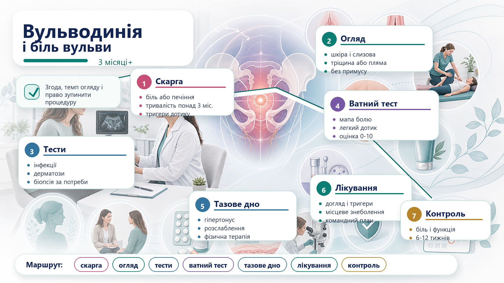 Інфографіка алгоритму вульводинії і хронічного болю вульви: біль понад 3 місяці, ватний тест, виключити інфекцію, огляд шкіри, оцінка тазового дна, мультимодальна терапія і контроль.