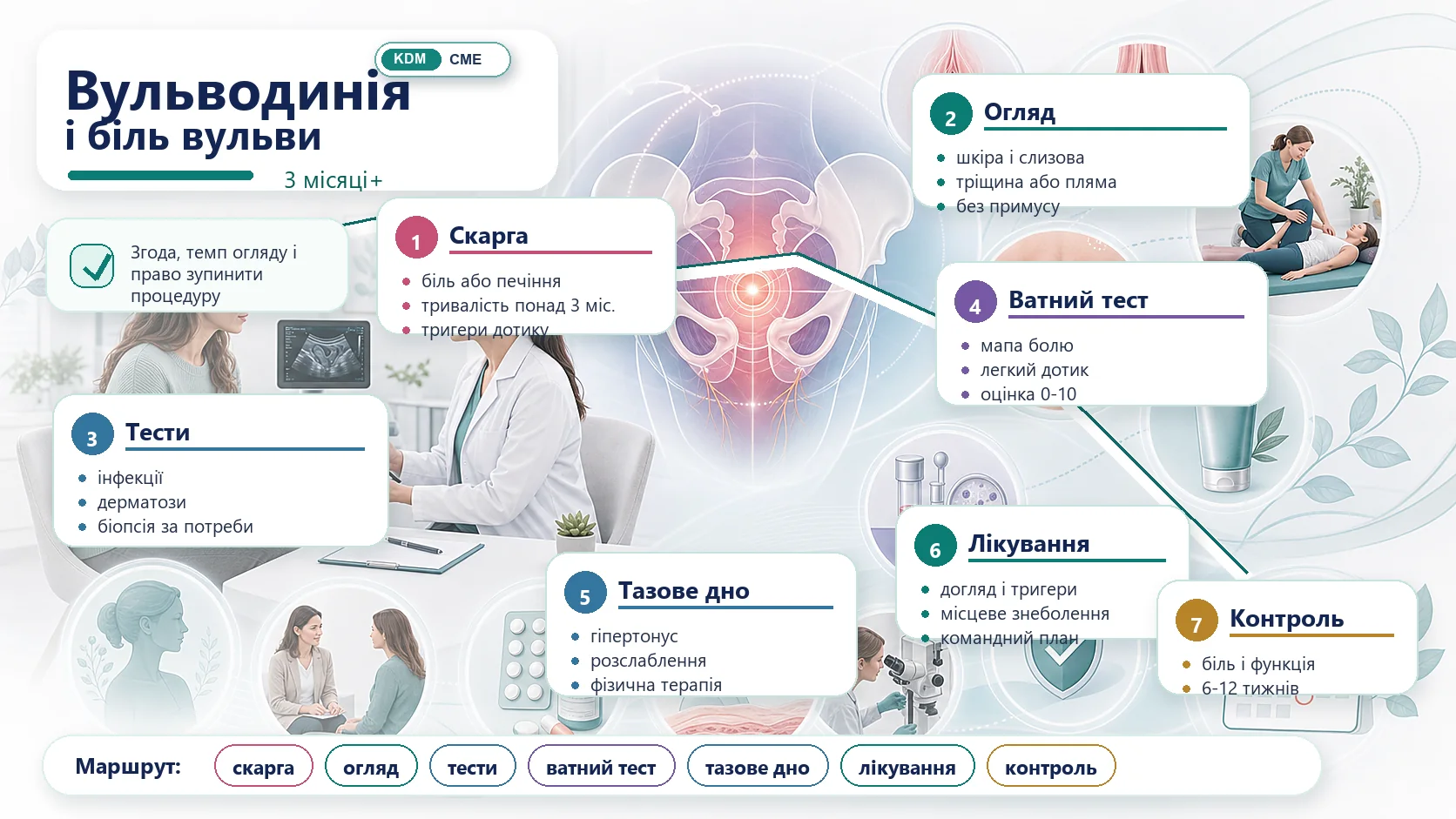 Інфографіка алгоритму вульводинії і хронічного болю вульви: біль понад 3 місяці, ватний тест, виключити інфекцію, огляд шкіри, оцінка тазового дна, мультимодальна терапія і контроль.